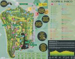 20190523-IMG_3410.jpg