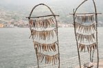 20190524-IMG_4297.jpg