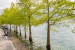 20190524-IMG_4315.jpg