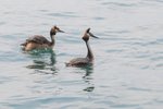 20190524-IMG_4319.jpg