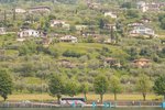 20190524-IMG_4352.jpg