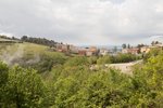 20190525-IMG_4477.jpg