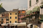 20190525-IMG_4686.jpg