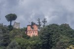 20210828-IMG_7753.jpg