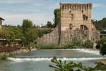 20210829-IMG_8012.jpg