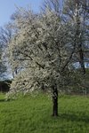 IMG_2240.JPG